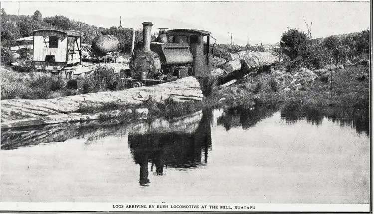 Logs arriving by bush locomotive at the mill, Ruatapu