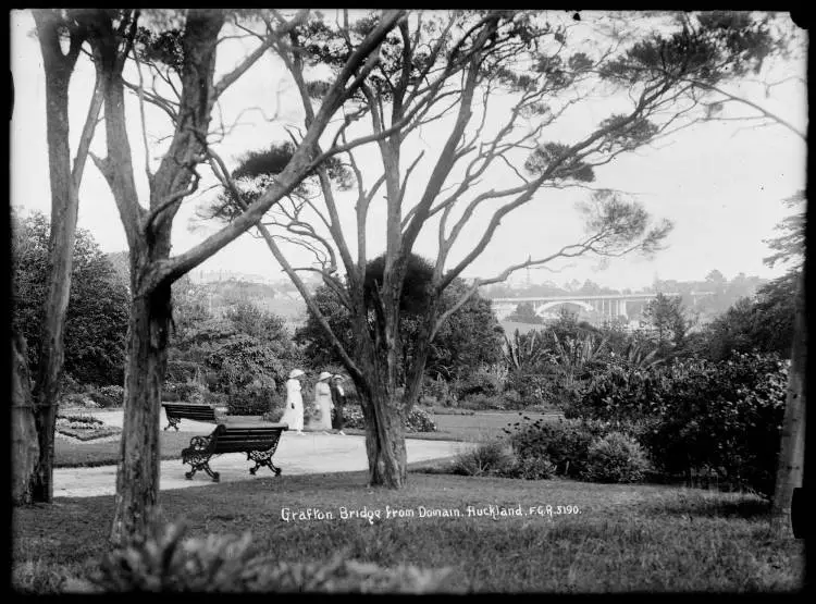 Grafton Bridge from the Domain, Auckland