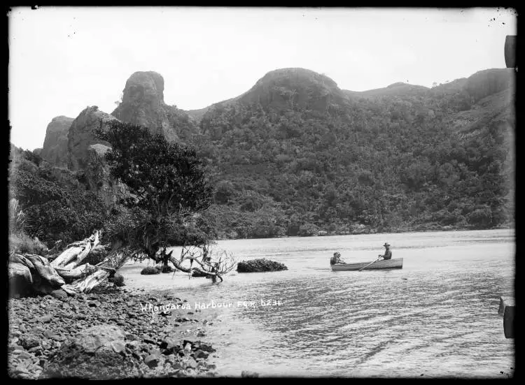 Whangaroa Harbour