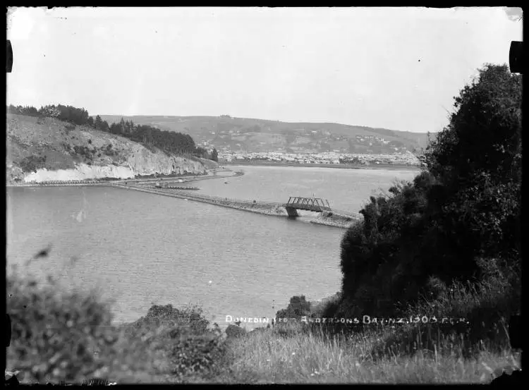 Dunedin from Andersons Bay