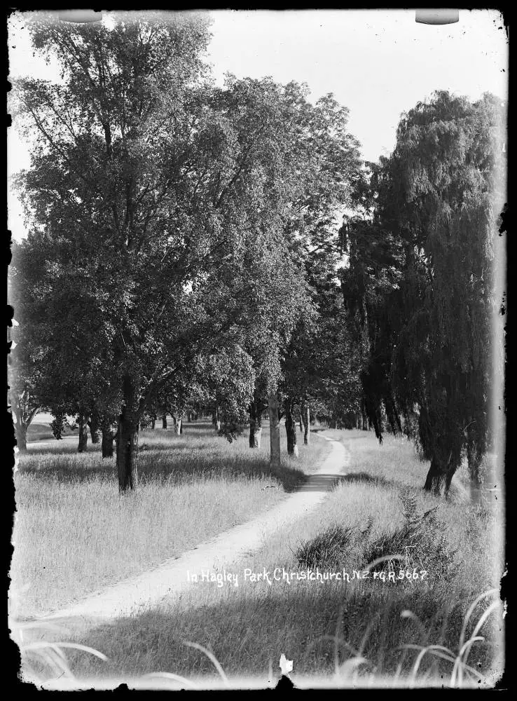 Hagley Park, Christchurch