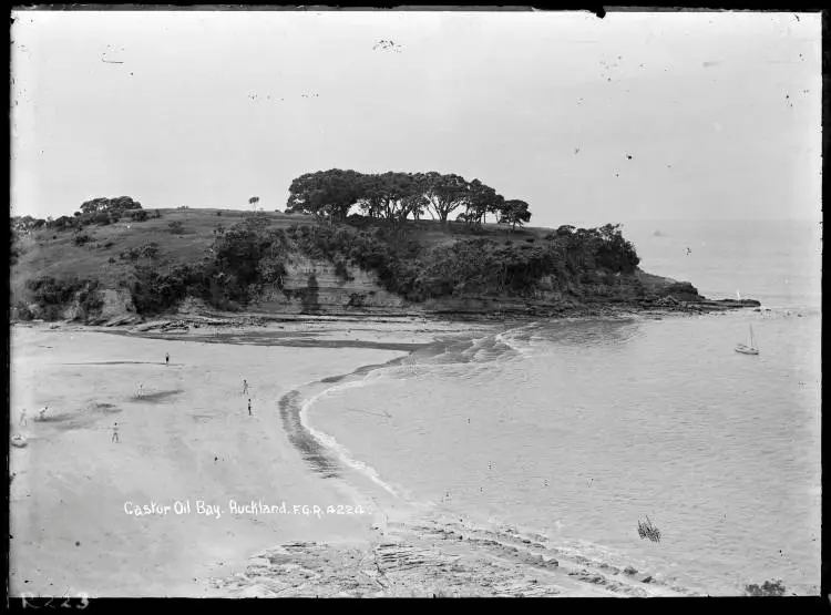 Castor Oil Bay, Auckland