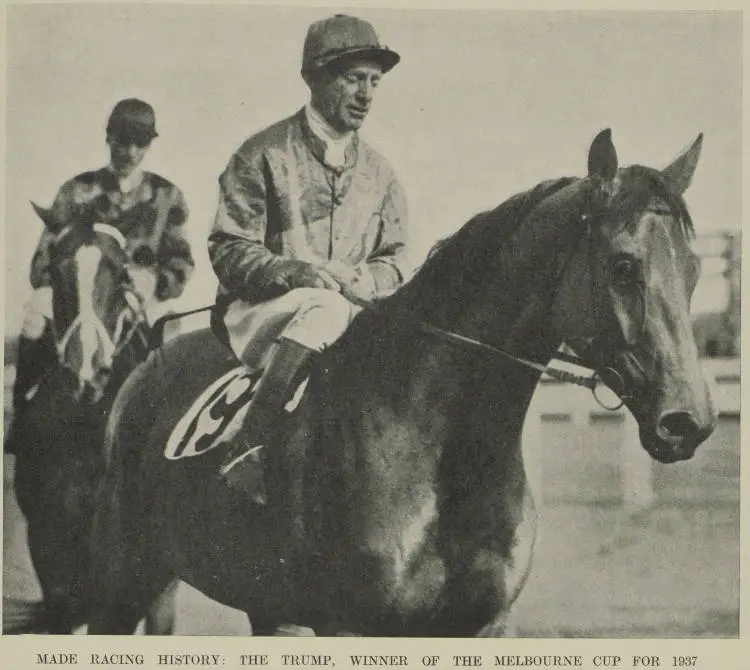 Made racing history: the trump, winner of the Melbourne Cup for 1937