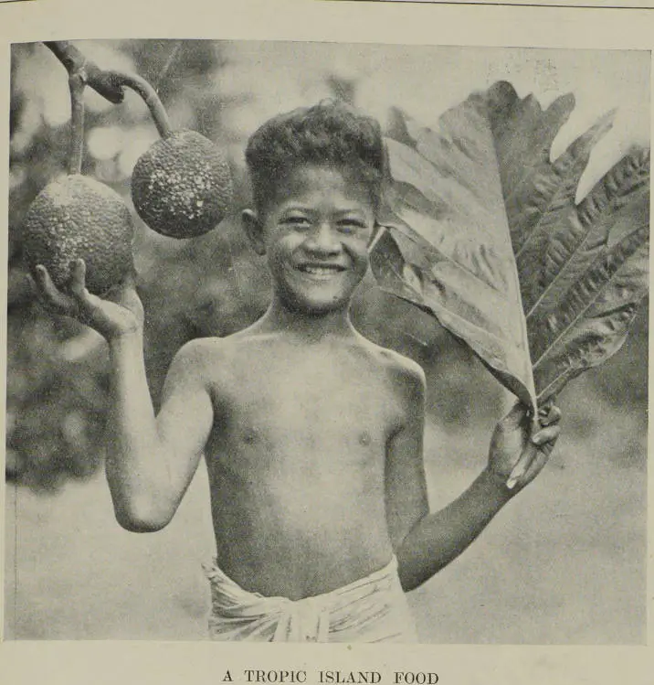 A tropic island food