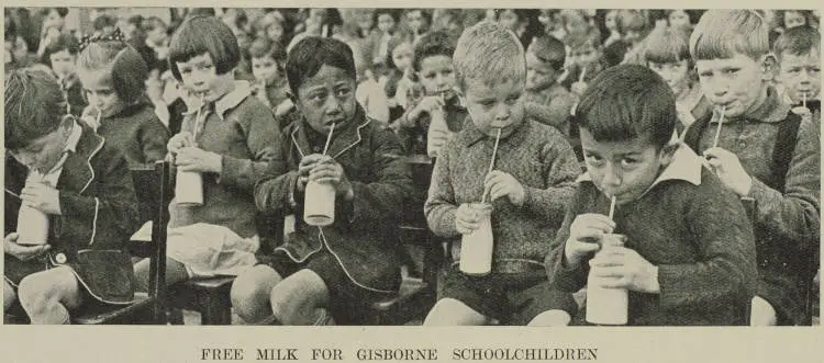 Free milk for Gisborne schoolchildren