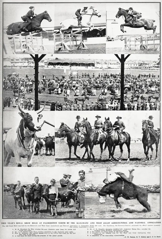 This year's royal show held at Palmerston north by the Manawatū and West Coast agricultural and pastoral association