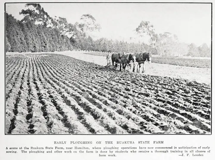 Early ploughing on the Ruakura state farm
