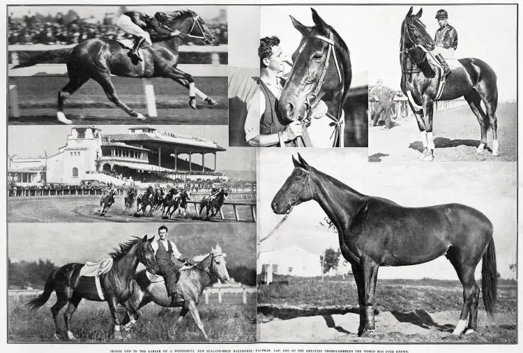 Tragic and to the career of a wonderful New Zealand-bred racehorse: Phar Lap, one of the greatest thoroughbreds the world has ever known