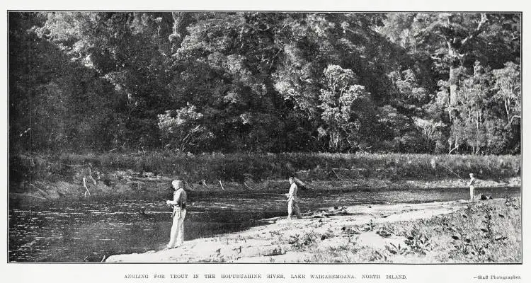 Angling for trout in the Hopuruahine River, Lake Waikaremoana, North Island
