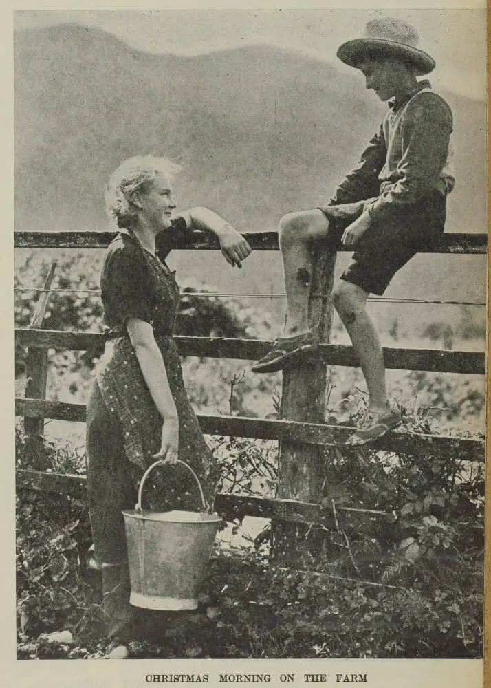 Christmas morning on the farm: A picture at Inchbonnie, Westland