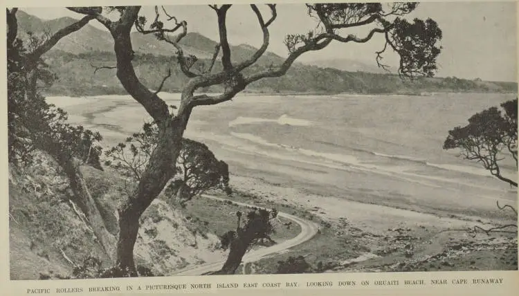 Oruaiti Beach in Waihau Bay, near Orete Point