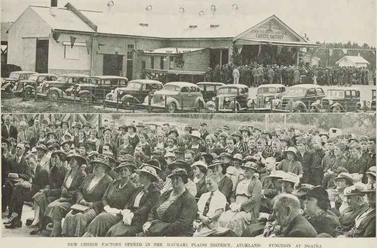 New cheese factory opened in the Hauraki Plains District, Auckland: function at Ngatea