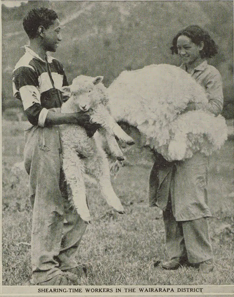 Shearing-time workers in the Wairarapa district