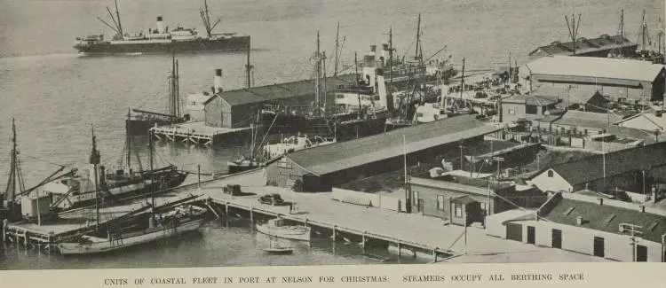 Anchor Shipping Company steamers berthed at the Nelson wharves