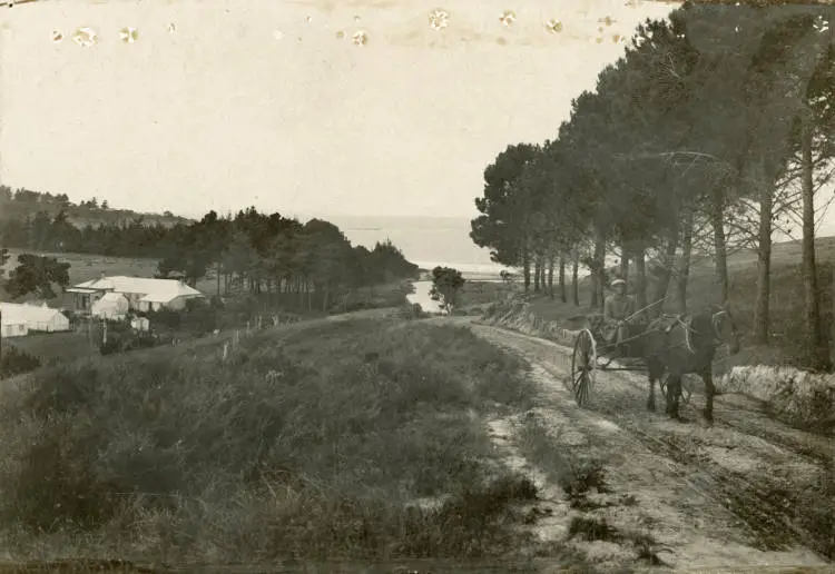 Overlooking Browns Bay and the Brown homestead from Browns Bay Road, North Shore.