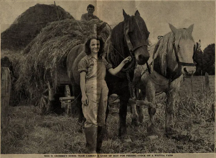 Women's war work on New Zealand farms