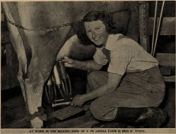 Women's war work on New Zealand farms