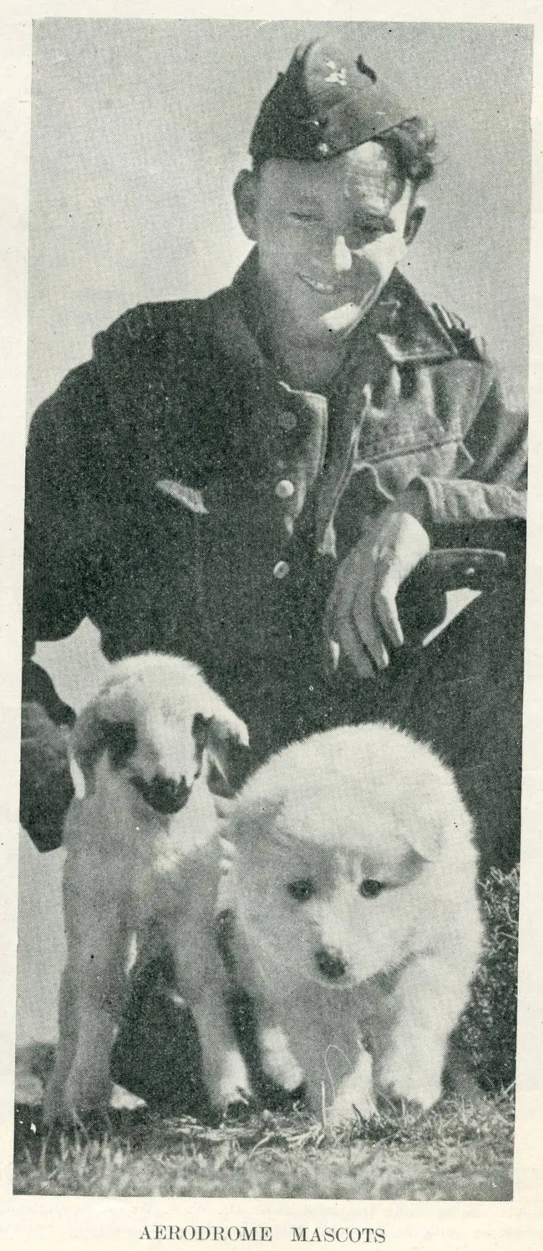 Aerodrome mascots