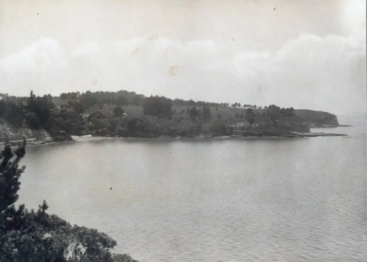 Winstone's Cove, Torbay.