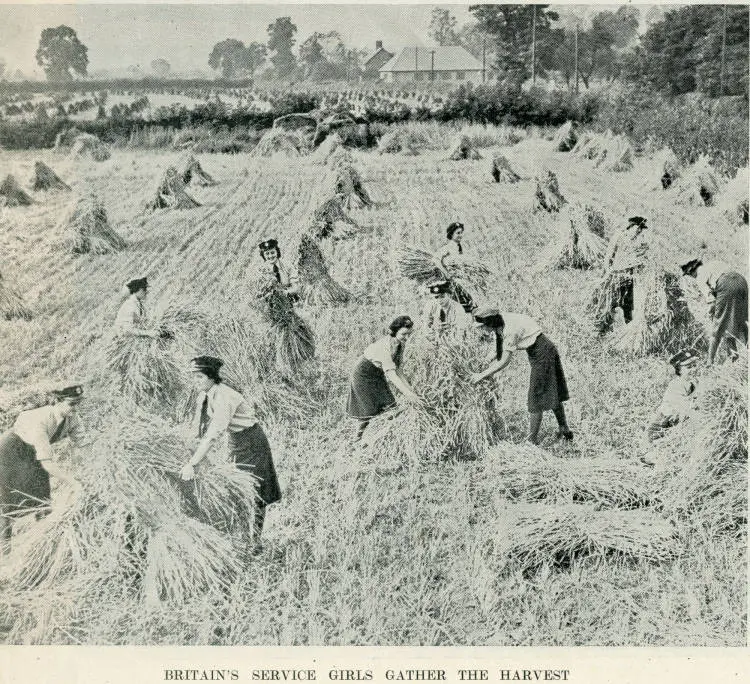 Britain's service girls gather the harvest
