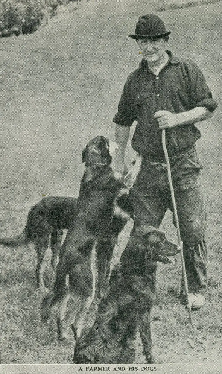 A farmer and his dogs
