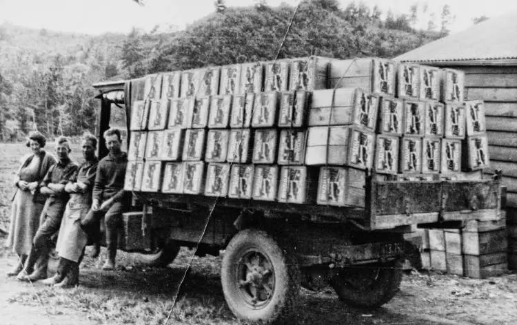 First truck load of export apples from Clemow's Orchard, Albany.