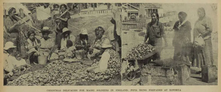 Christmas delicacies for Māori soldiers in England: pipis being prepared at Rotorua