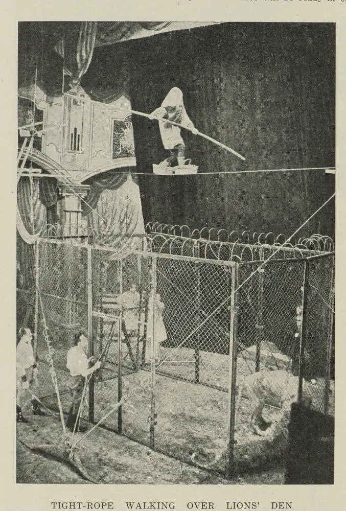 Tight-rope walking over lions' den