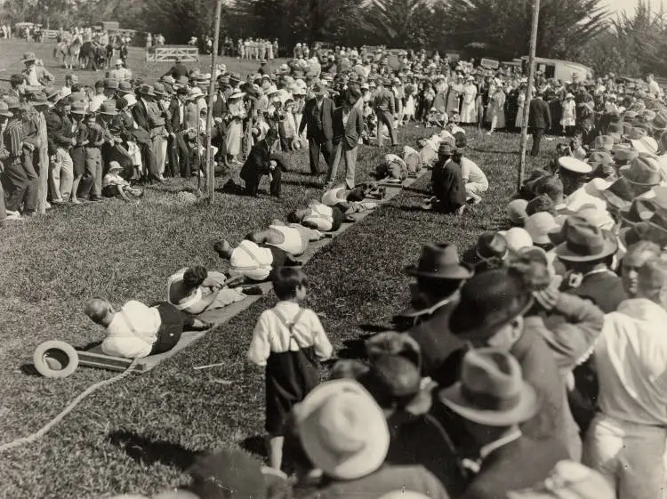 Tug o' war, Albany Show.