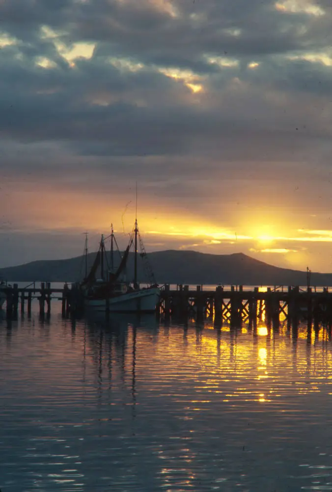 Fishing boat at Port Chalmers at sunset, 1976