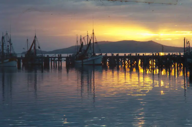 Fishing boats at Port Chalmers at sunset, 1976