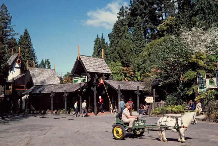 Rainbow and Fairy Springs, Rotorua, 1982