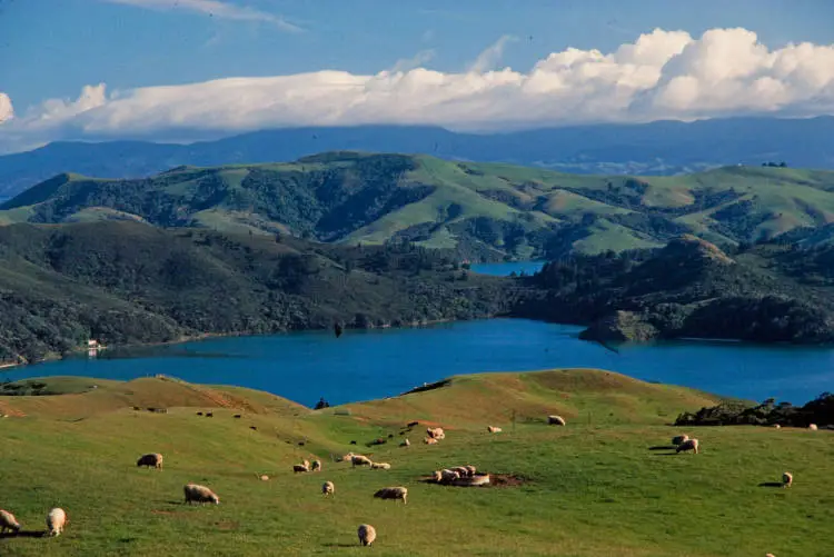 View from the Manaia Road Saddle, Coromandel Peninsula