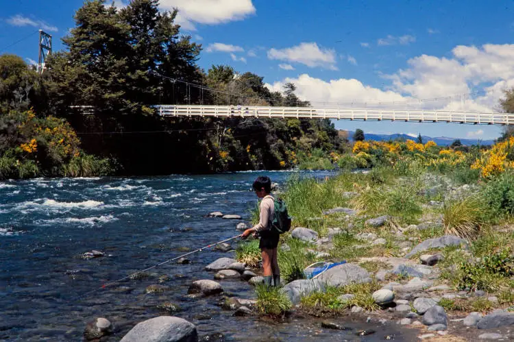 Trout fishing in the Tongariro River