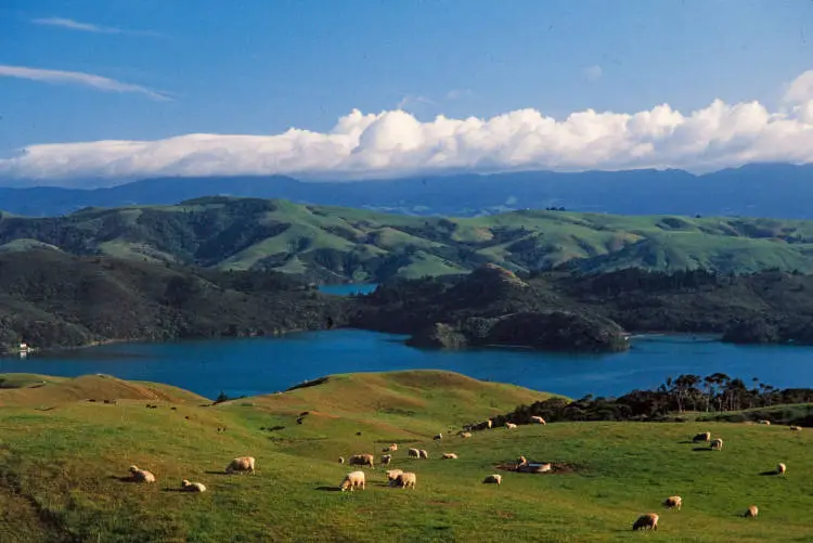 View from the Manaia Road Saddle, Coromandel Peninsula