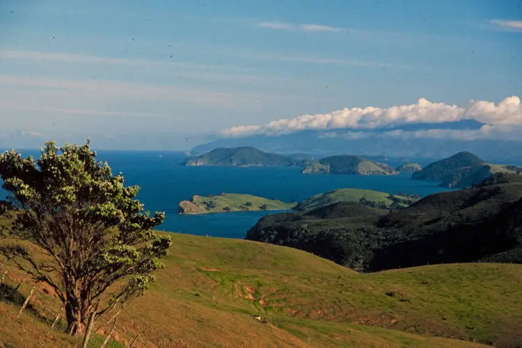View from the Manaia Road Saddle, Coromandel Peninsula