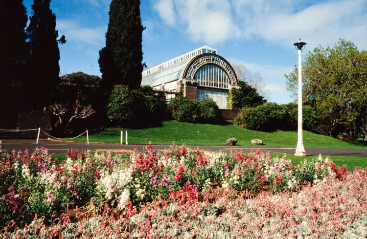 Wintergarden at the Auckland Domain