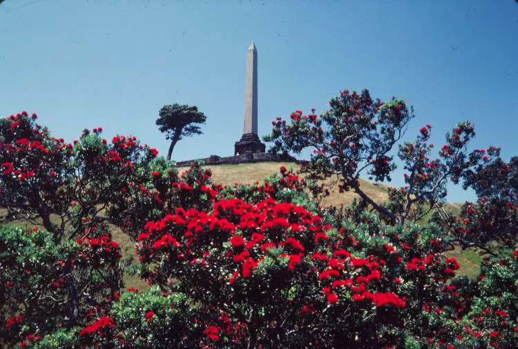 One Tree Hill with Pohutukawa in bloom