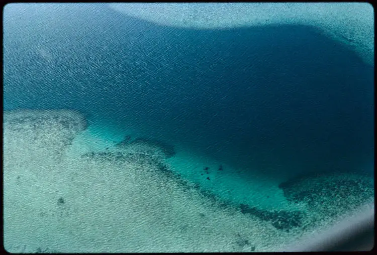 Aerial view of coral reef, 1971
