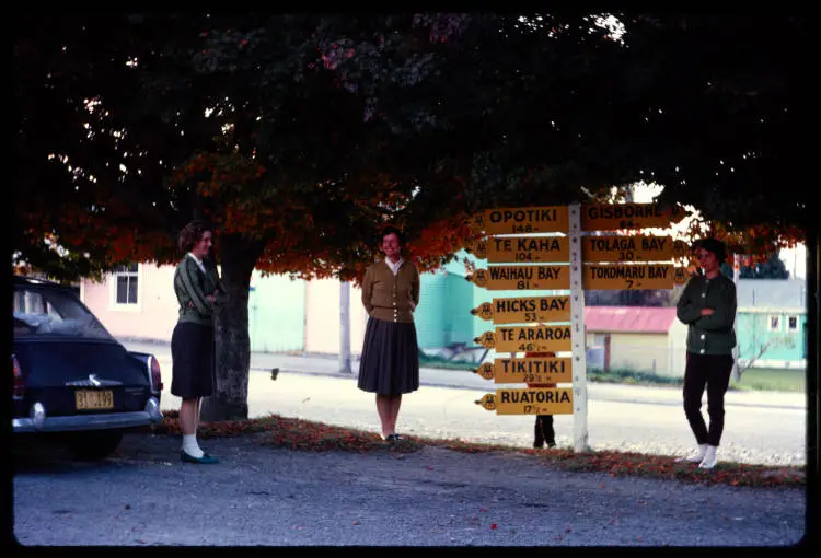 Signpost at Te Puia Springs