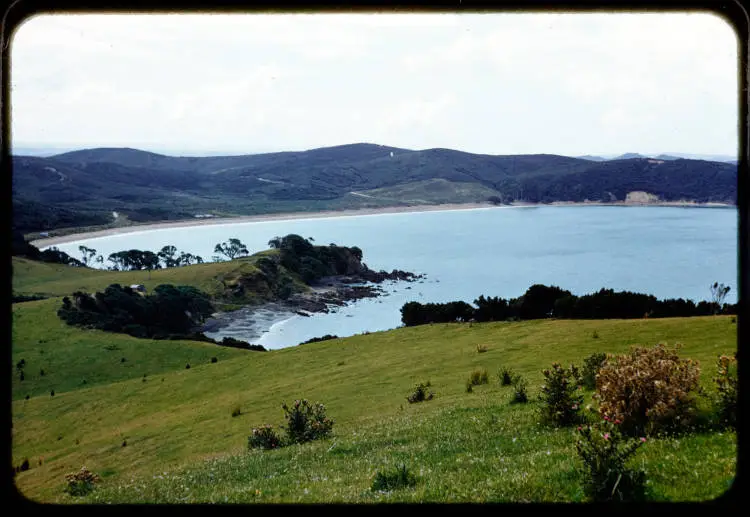 Onewhero Bay