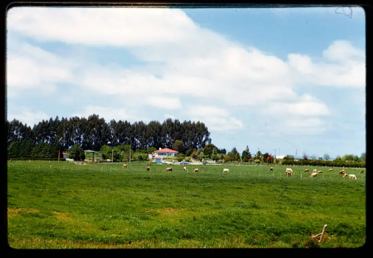 Farm at Kio-Kio