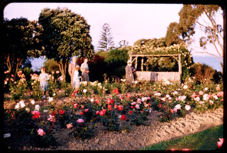 Parnell Rose Gardens, 1955