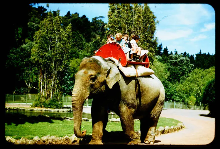 Elephant ride, 1956