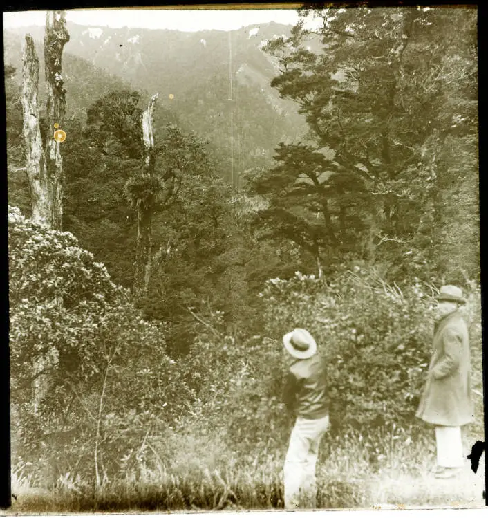 Snow on the Huiarau Range, 1933