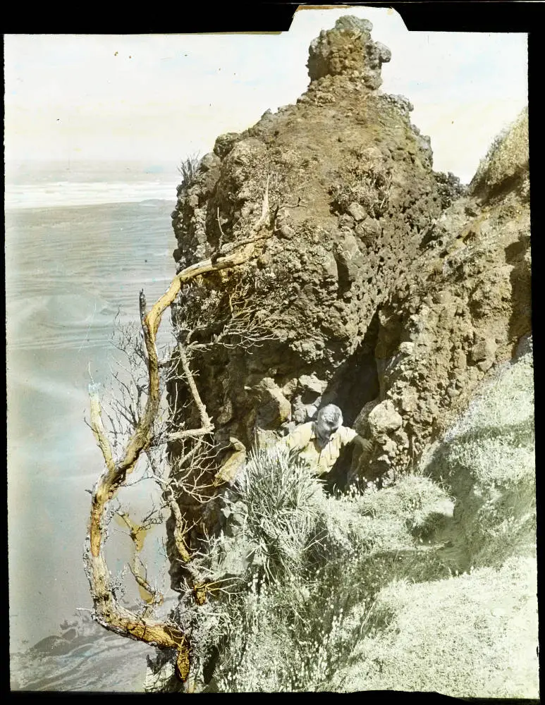 Korekore Pa site, Muriwai