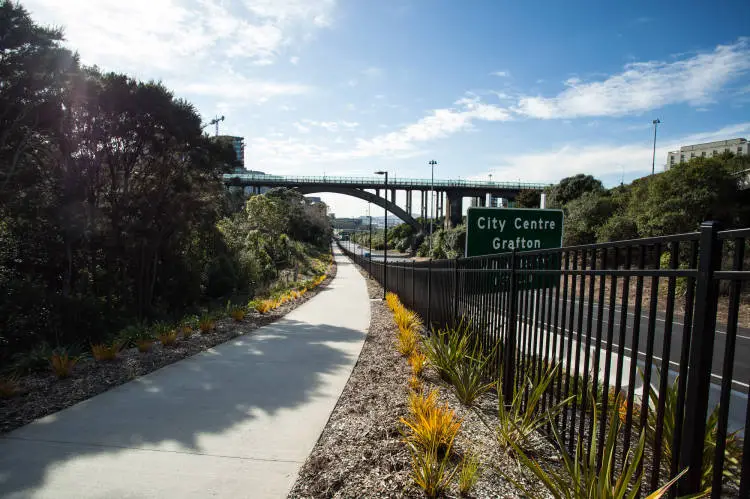 Grafton Gully Cycleway, Auckland Central, 2016