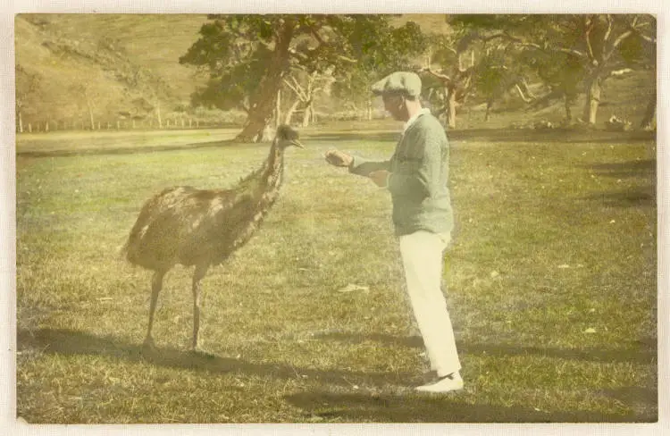 Emu on Motutapu Island