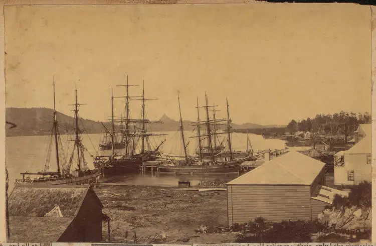Te Kōpuru Saw Mill Company Wharf on the Wairoa River, 1884