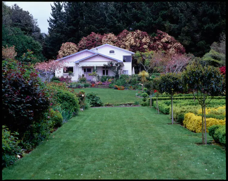 Tawa Glen rhododendron nursery, Mountain Road, New Plymouth, 1999